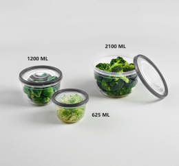 Food containers (2100ml,1200ml,625ml)