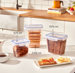 Food containers(2100ml,1575ml,825ml)