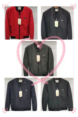 Men's thin jacket, model: JP-668509 (size: M - 3XL)