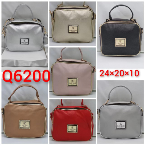 Women's handbags model: Q6200