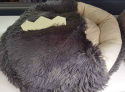 Dog/cat cushion