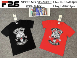 Boys' short-sleeve T-shirt (Age: 8-16) Model: YD-22001F