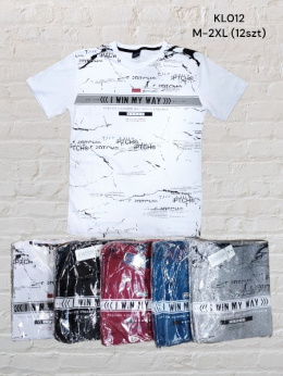 Men's cotton t-shirt model: KLO12 (size M-2XL)