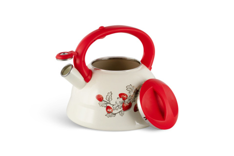 Enameled kettle with whistle capacity 3.0l by EDENBERG brand