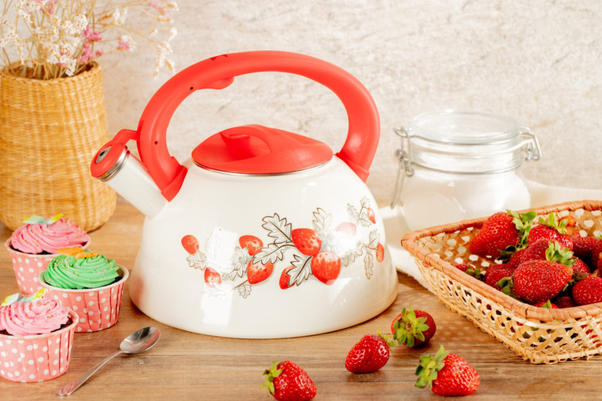 Enameled kettle with whistle capacity 3.0l by EDENBERG brand