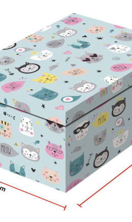 SET 10 - Cardboard Gift Boxes