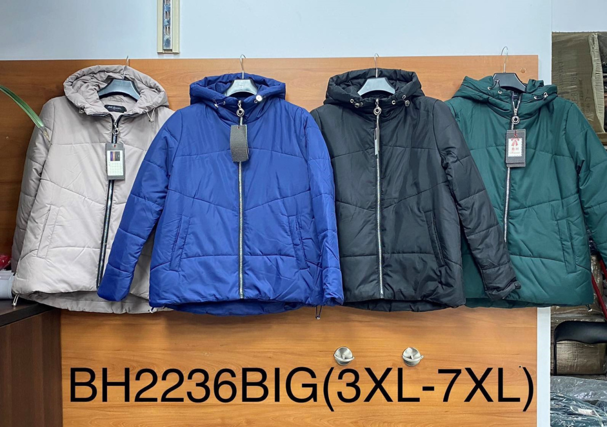 Women's jacket, spring, model: BH2236 BIG (size: 3XL-7XL)
