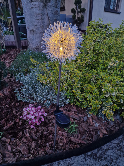 Lampy ogrodowe, solarne - czosnek