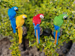 Garden lights, solar lamps - parrots
