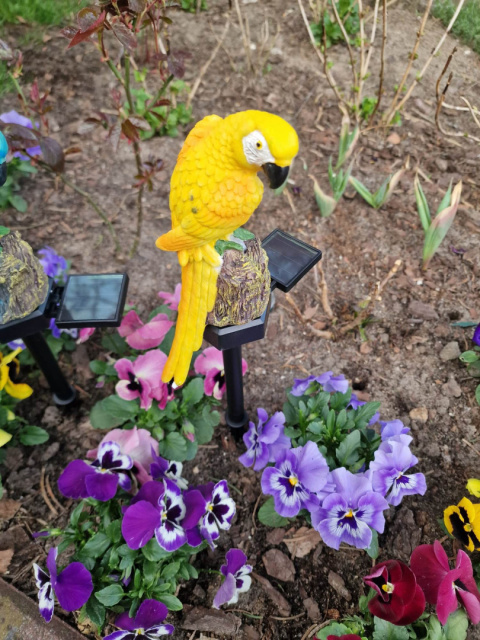 Garden lights, solar lamps - parrots