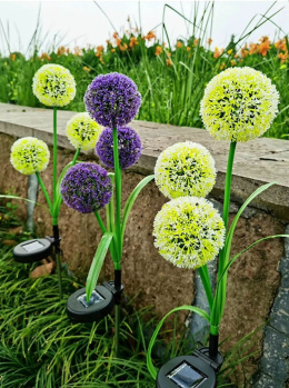 Garden lamps, solar - 3 flower garlic