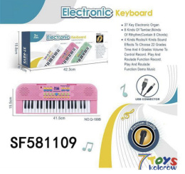 Keyboard, electronic piano for children