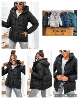 PLUS SIZE women's winter jacket, model: BH2274 (size: 3XL-7XL)