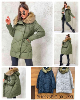 PLUS SIZE women's winter jacket, model: BH2276 (size: 3XL-7XL)
