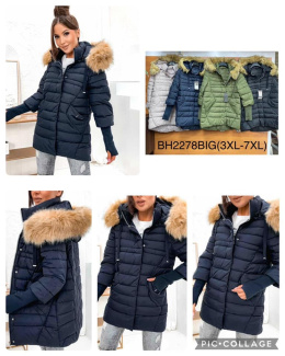 PLUS SIZE women's winter jacket, model: BH2278 (size: 3XL-7XL)