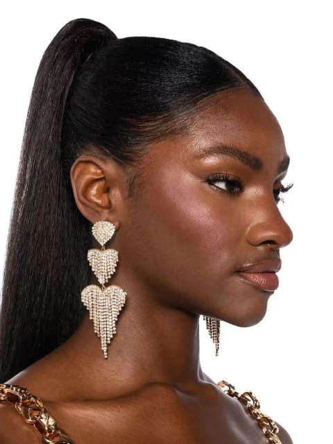 Stylish women's earrings