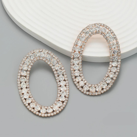 Stylish women's earrings