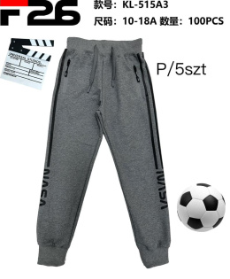 Boy's sweatpants (age: 10-18) model: KL-515A3