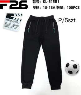 Spodnie dresowe dla chłopca (wiek: 10-18) model: KL-515B1