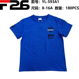 Bluzka, t-shirt chłopięcy z krótkim rękawem (wiek: 8-16 lat) model: YL-593A1/A2