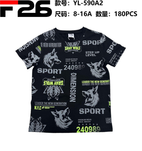 Bluzka, t-shirt chłopięcy z krótkim rękawem (wiek: 8-16 lat) model: YL-590A1/A2