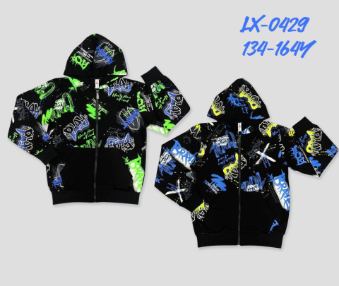 Boys' hooded sweatshirts (size: 134-164), model: LX-0429