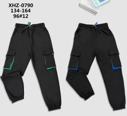 Dresowe spodnie chłopięce (rozm.: 134-164), model: XHZ-0790