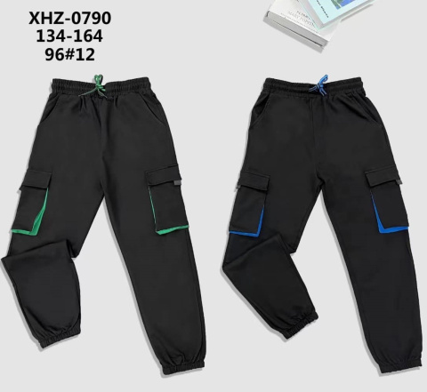 Boys' sweatpants (size: 134-164), model: XHZ-0790