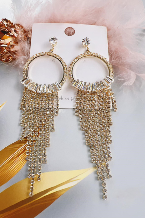 Women's earrings