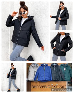 Women's jacket, model: BH2236 BIG (size: 3XL-7XL)