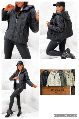 Women's jacket, model: BH2493 BIG (size: 3XL-7XL)