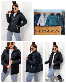 Women's jacket, model: BH2237 BIG (size: 3XL-7XL)