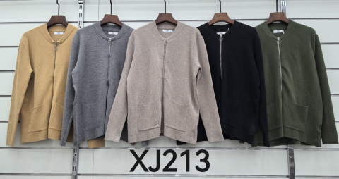 Women's zipper sweater, model: XJ213