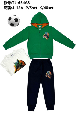 Boys' 2-piece sweatpants with hood