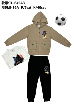 Boys' 2-piece sweatpants with hood