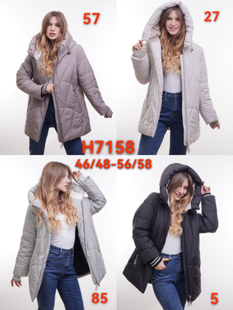 Women's winter jacket (size 46/48-56/58), model: H7158