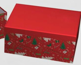 Decorative boxes for Christmas presents