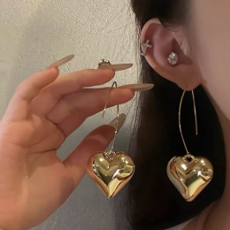 Women's earrings