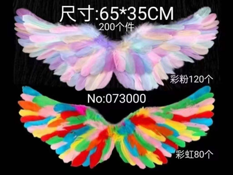 Strój karnawałowy,przebranie karnawałowe, skszydła