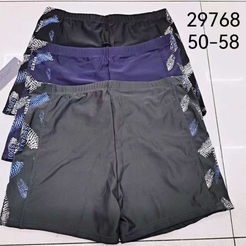 Men's swimming trunks