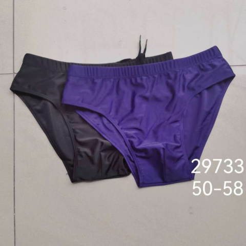 Men's swimming trunks