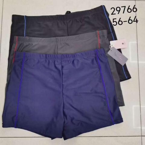 Men's swimming trunks