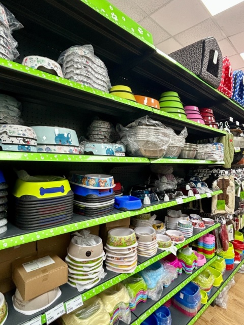 Miski dla kota i psa