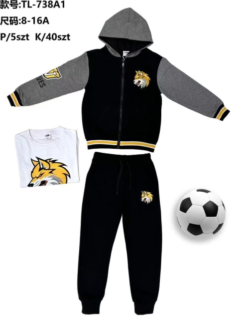 Boys' 2-piece sweatpants with hood