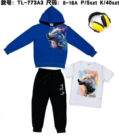 Dresy chłopięce 2-częściowe z kapturem