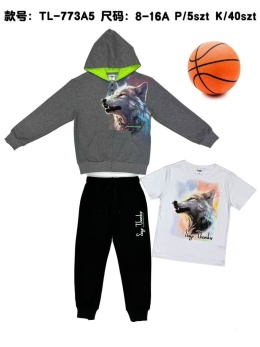 Dresy chłopięce 2-częściowe z kapturem