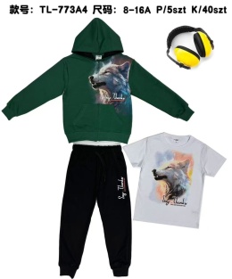 Dresy chłopięce 2-częściowe z kapturem