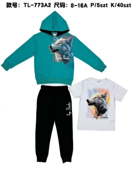 Dresy chłopięce 2-częściowe z kapturem