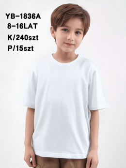 Koszulka chłopięca(6-16 lat)