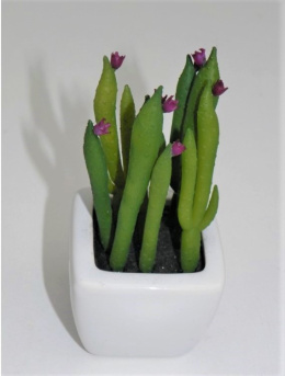 Kaktus miniaturka w doniczce - ozdobna kompozycja